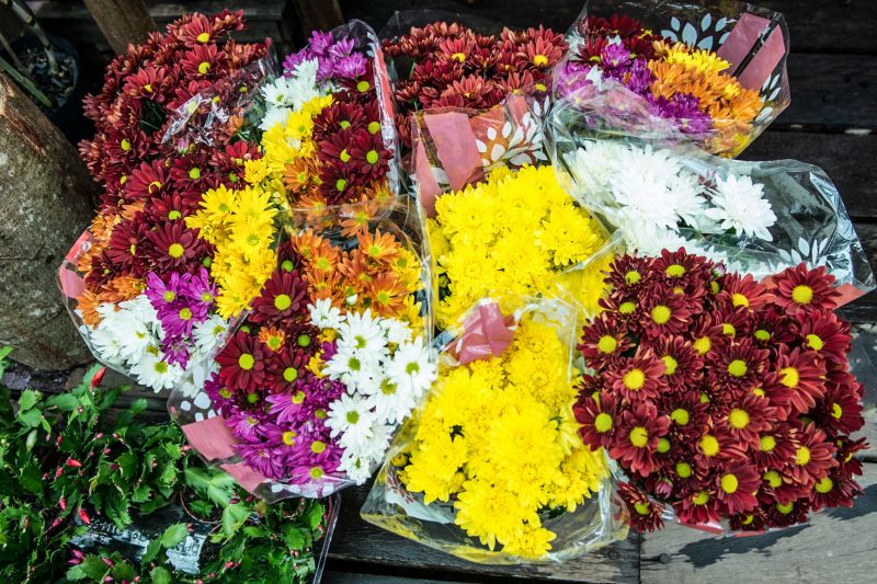 Mangal das Garças terá inauguração de floricultura no Dia das Mães


FOTOS: Uchôa Silva / Pará2000 <div class='credito_fotos'>Foto: Uchôa Silva / Pará2000   |   <a href='/midias/2021/originais/8599_001219a8-f650-d31c-dfd0-52a59e8b58e2.jpg' download><i class='fa-solid fa-download'></i> Download</a></div>