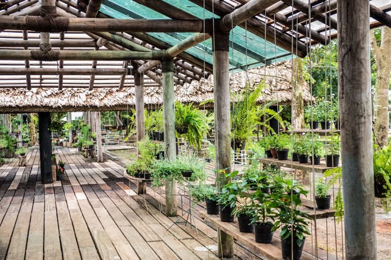 Mangal das Garças terá inauguração de floricultura no Dia das Mães


FOTOS: Uchôa Silva / Pará2000 <div class='credito_fotos'>Foto: Uchôa Silva / Pará2000   |   <a href='/midias/2021/originais/8599_20886d49-2e61-b535-49e2-93865f839288.jpg' download><i class='fa-solid fa-download'></i> Download</a></div>