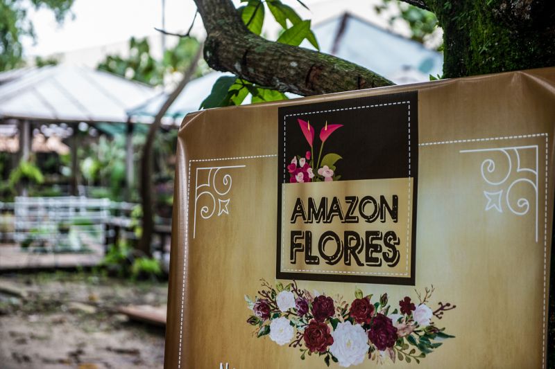 Mangal das Garças terá inauguração de floricultura no Dia das Mães


FOTOS: Uchôa Silva / Pará2000 <div class='credito_fotos'>Foto: Uchôa Silva / Pará2000   |   <a href='/midias/2021/originais/8599_6ffaa20d-3b6b-a1d1-bcc8-49a6944e3e49.jpg' download><i class='fa-solid fa-download'></i> Download</a></div>