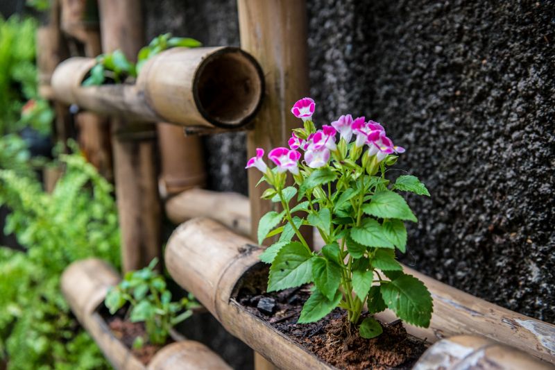 Mangal das Garças terá inauguração de floricultura no Dia das Mães


FOTOS: Uchôa Silva / Pará2000 <div class='credito_fotos'>Foto: Uchôa Silva / Pará2000   |   <a href='/midias/2021/originais/8599_7cc0a5d5-8923-f3ee-aa28-5f0266fcc807.jpg' download><i class='fa-solid fa-download'></i> Download</a></div>