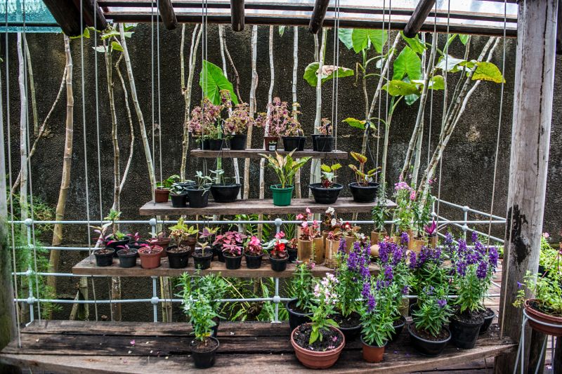 Mangal das Garças terá inauguração de floricultura no Dia das Mães


FOTOS: Uchôa Silva / Pará2000 <div class='credito_fotos'>Foto: Uchôa Silva / Pará2000   |   <a href='/midias/2021/originais/8599_bfe3be7a-9e98-bc9d-4924-9ff2bcf5c970.jpg' download><i class='fa-solid fa-download'></i> Download</a></div>