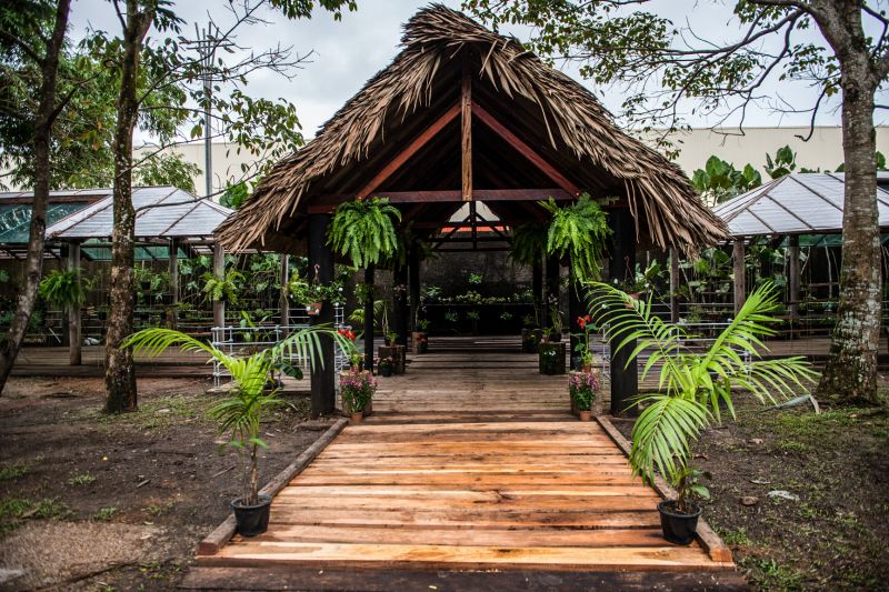 Mangal das Garças terá inauguração de floricultura no Dia das Mães


FOTOS: Uchôa Silva / Pará2000 <div class='credito_fotos'>Foto: Uchôa Silva / Pará2000   |   <a href='/midias/2021/originais/8599_e98c68f6-3f92-7754-f737-a086c9a8ea11.jpg' download><i class='fa-solid fa-download'></i> Download</a></div>