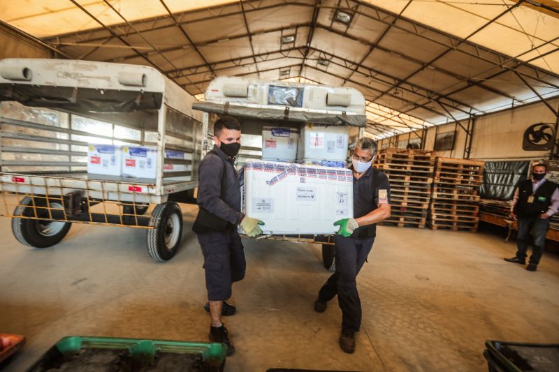 O Pará recebeu, na tarde desta quinta-feira (13), a maior remessa de doses de vacinas contra Covid-19,  com um total de 355.250 doses, das quais 285.250 são da Oxford/AstraZeneca e  outras 70 mil da CoronaVac/Sinovac. Essa é a vigésima primeira remessa enviada pelo Ministério da Saúde desde janeiro de 2021.

FOTOS: ALEX RIBEIRO / AG.PARA <div class='credito_fotos'>Foto: Alex Ribeiro / Ag. Pará   |   <a href='/midias/2021/originais/8627_c6e3538b-d9ff-baff-2cd1-c5a74fe435f0.jpg' download><i class='fa-solid fa-download'></i> Download</a></div>