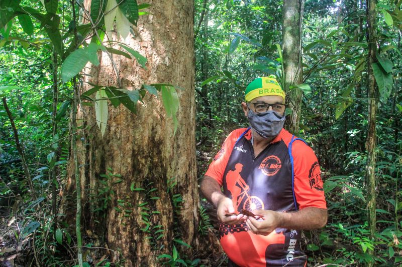 O projeto Flora do Utinga, parceria entre o Instituto de Desenvolvimento Florestal e da Biodiversidade do Estado do ParÃ¡ (Ideflor-Bio) e o Museu Paraense EmÃ­lio Goeldi (MPEG), identifica Ã¡rvores no Parque Estadual que podem atingir atÃ© 40 metros de altura e 100 centÃ­metros de diÃ¢metro, o que Ã© considerado um porte gigantesco. <div class='credito_fotos'>Foto: Marcelo Seabra / Ag. Pará   |   <a href='/midias/2021/originais/8643_c7df7b24-226b-3d03-6318-c70b3189c86a.jpg' download><i class='fa-solid fa-download'></i> Download</a></div>