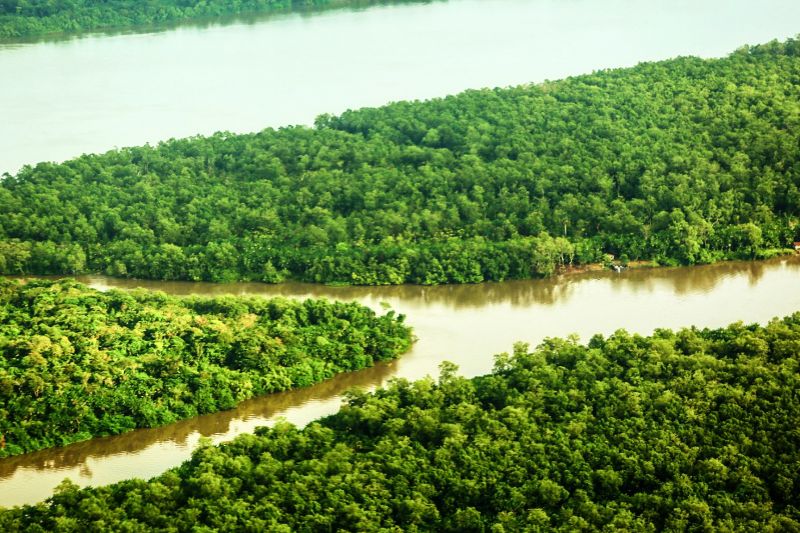 Amazônia Paraense vista área
'''

FOTO: BRUNO CECIM / AGENCIA PARA <div class='credito_fotos'>Foto: Bruno Cecim / Ag.Pará   |   <a href='/midias/2021/originais/8696_60e1a03b-32c1-b600-1d8b-5d5b7c49a1f3.jpg' download><i class='fa-solid fa-download'></i> Download</a></div>