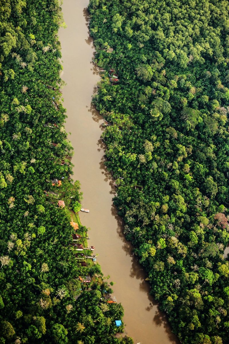 Amazônia Paraense vista área
'''

FOTO: BRUNO CECIM / AGENCIA PARA <div class='credito_fotos'>Foto: Bruno Cecim / Ag.Pará   |   <a href='/midias/2021/originais/8696_d281d70e-7260-283c-b0e3-6158c74998c9.jpg' download><i class='fa-solid fa-download'></i> Download</a></div>