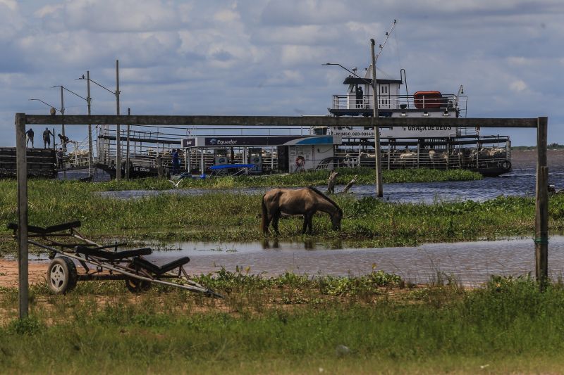  <div class='credito_fotos'>Foto: Jader Paes / Agência Pará   |   <a href='/midias/2021/originais/8697_b29cebc1-c956-aed7-2fcd-e7356ac68817.jpg' download><i class='fa-solid fa-download'></i> Download</a></div>