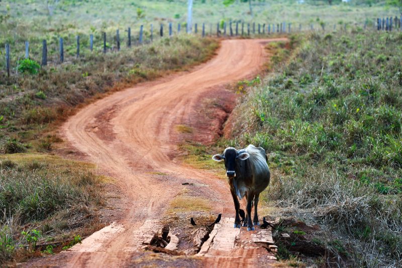  <div class='credito_fotos'>Foto: Bruno Cecim / Ag.Pará   |   <a href='/midias/2021/originais/8905_076eb212-fd39-ff6c-e705-7802790dfbc5.jpg' download><i class='fa-solid fa-download'></i> Download</a></div>