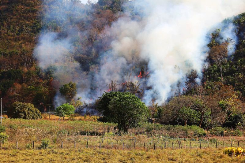  <div class='credito_fotos'>Foto: Bruno Cecim / Ag.Pará   |   <a href='/midias/2021/originais/8905_f6019cba-59d7-34fa-1c50-84b22466ca03.jpg' download><i class='fa-solid fa-download'></i> Download</a></div>