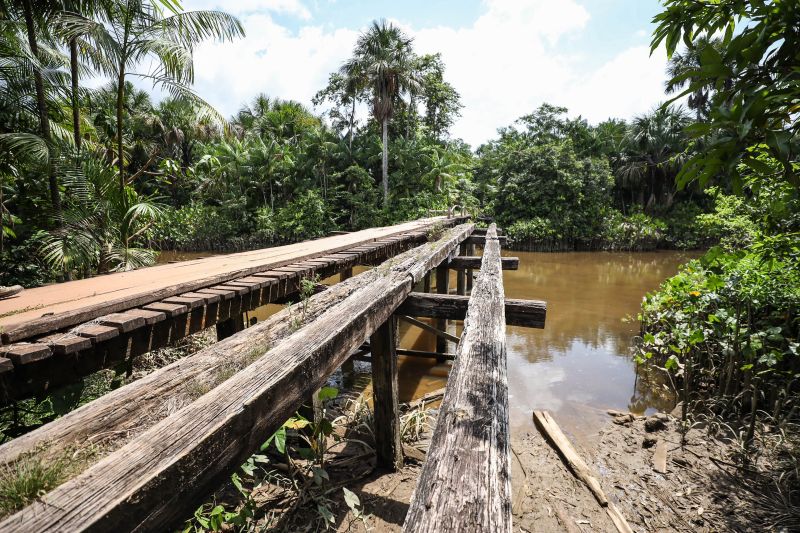  <div class='credito_fotos'>Foto: Rodrigo Pinheiro / Ag.Pará   |   <a href='/midias/2021/originais/8940_1aeb6c40-5173-5d0b-6923-4ca935484ac9.jpg' download><i class='fa-solid fa-download'></i> Download</a></div>