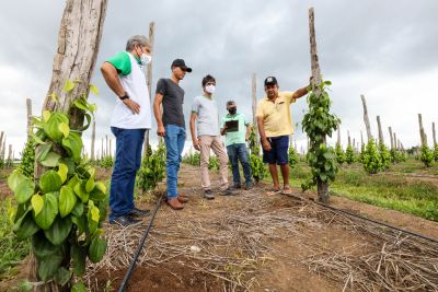 galeria: Emater incentiva o protagonismo de produtores rurais em Igarapé-Açú