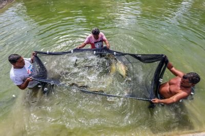 notícia: Codec e Sedap debatem parcerias estratégicas para segmento da pesca 