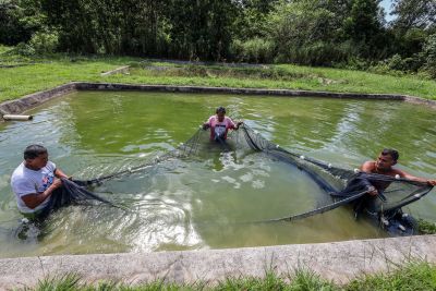 notícia: Belém será sede do IFC Amazônia, evento internacional para pesca e aquicultura