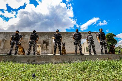 galeria: Obras da 1ª maternidade canina militar do Batalhão de Ação com Cães está em fase final
