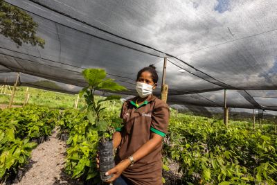 galeria: Fazenda Pioneiros em Parauapebas