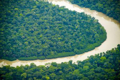 notícia: Pará se destaca no Dia Nacional de Proteção às Florestas com plano pioneiro de recuperação da vegetação nativa