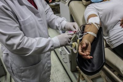 notícia: Hemopa reforça novos critérios para doação de sangue após infecção por Covid-19