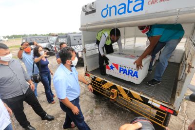 galeria: chegada da vacina contra o COVID-19 em Santarém