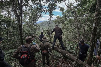 galeria: Orgãos de segurança do Estado unem esforços em busca do piloto que desapareceu