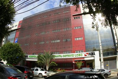 notícia: Hospital Oncológico Infantil realiza oficinas de produção de guirlandas natalinas sustentáveis