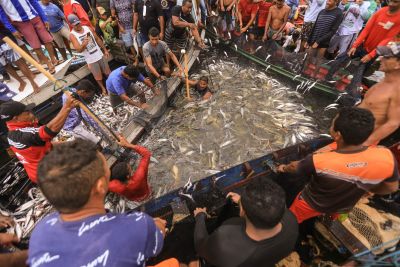 notícia: Semas publica Acordo de Pesca que beneficia 100 comunidades do Rio Tapajós