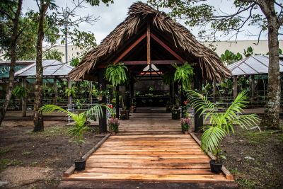 galeria: Mangal das Garças terá inauguração de floricultura no Dia das Mães