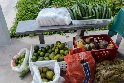 galeria: Seduc recebe os produtos da Feira da Agricultura Familiar da Emater 