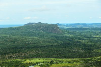 notícia: Pará reduz em 27% o desmatamento ilegal em junho