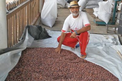 galeria: Amêndoa de cacau paraense é selecionada entre as 50 melhores no Salão de Chocolate de Paris