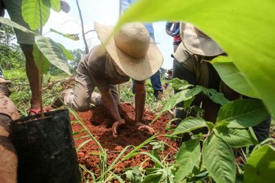 Governo adota macroestratégia para agir em defesa do meio ambiente