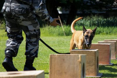 Pará reduz em quase 30% mortes por intervenção policial