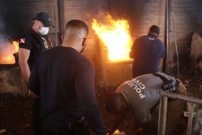 notícia: Polícia Civil incinera cerca de duas toneladas de drogas em Benevides