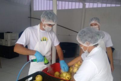 notícia: Emater capacita cooperativa de Paragominas sobre segurança na manipulação de alimentos