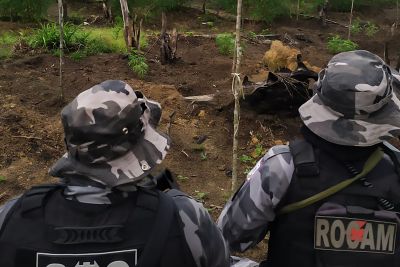 notícia: Polícia Militar intensifica ações de combate ao tráfico de entorpecentes