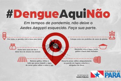 notícia: Sespa convoca população para eliminar o mosquito da dengue