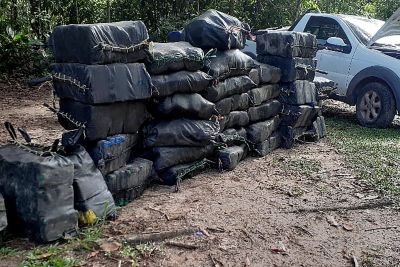 notícia: Polícias Militar e Civil apreendem mais de uma tonelada de drogas em Bujaru