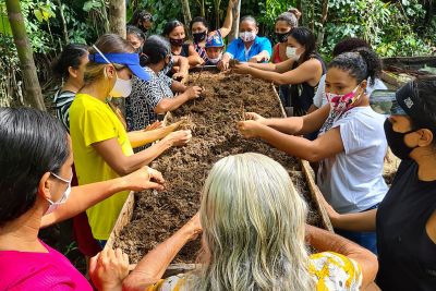 notícia: Famílias da Ilha das Onças ganham apoio da Emater para plantar hortas suspensas na maré