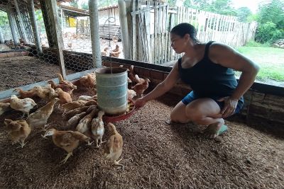 notícia: Com apoio da Emater, mulheres superam desafios e fazem a diferença no setor rural paraense