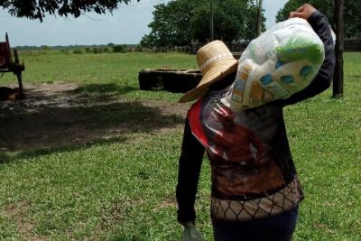 notícia: Com apoio da Emater, merenda escolar de Soure pode ampliar aquisição da agricultura familiar