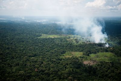 notícia: Estado executará projeto de combate ao desmatamento com apoio de banco alemão