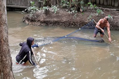notícia: Curso da Sedap ensinou boas práticas para cultivo de peixes aos piscicultores de Limoeiro do Ajuru