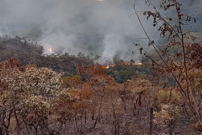 notícia: IDEFLOR-BIO trabalha no combate a incêndio do Parque Estadual Serra dos Martírios/Andorinhas