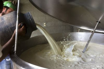 notícia: Sedap capacita produtores em boas práticas agropecuárias e fabricação de lácteos