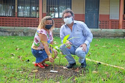 notícia: Ação entre Ideflor-Bio, Semas e Secult leva plantio de mudas de árvores a escola pública de Belém