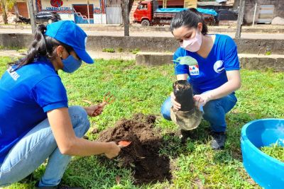 notícia: Em comemoração à semana mundial do meio ambiente, equipes da Cosanpa realizam plantio de mudas de árvores.