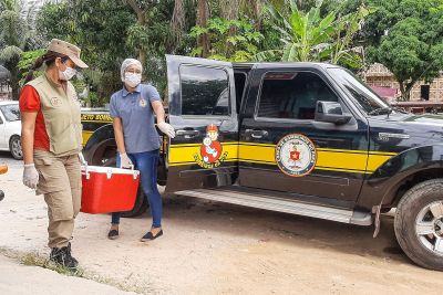 notícia: Atuação do Corpo de Bombeiro Militar do Pará vai além do combate a incêndios