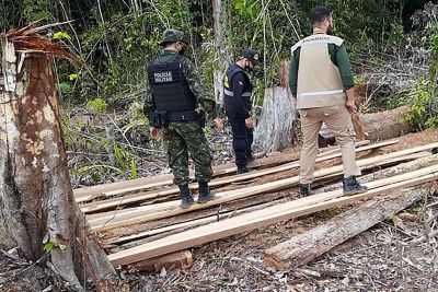 notícia: Semas doa madeira apreendida no combate a crimes ambientais para instituições e ONGs