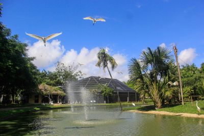 notícia: Estação, Mangal e Parque do Utinga terão programação especial no Dia dos Pais