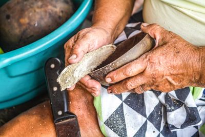 notícia: Exposição em Belém valoriza tradição e beleza de cuias artesanais do oeste do Pará