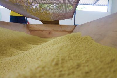 notícia: Adepará regulamenta casas de farinha em todo o território paraense